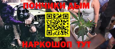 крисы Северобайкальск
