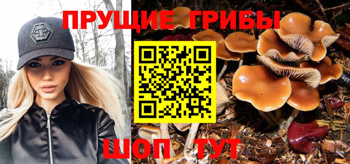 Псилоцибиновые грибы Magic Shrooms Нефтекумск